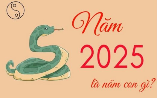 Năm 2025 là năm Ất Tỵ, tức là năm con Rắn