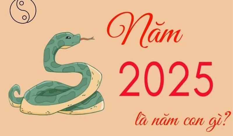 Năm 2025 là năm Ất Tỵ, tức là năm con Rắn