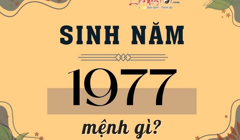 Người sinh năm 1977 thuộc mệnh Thổ