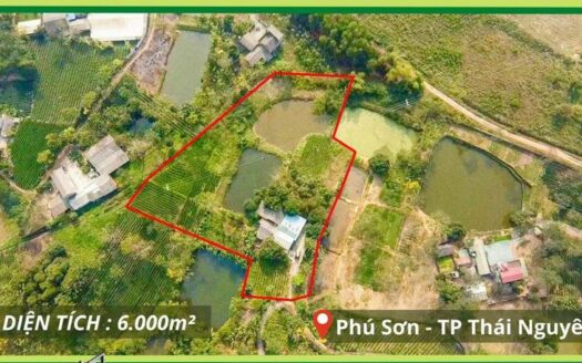 Cần cho thuê mảnh đất 6000m2